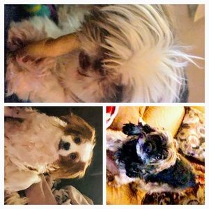 Meet your Posher, Whitney